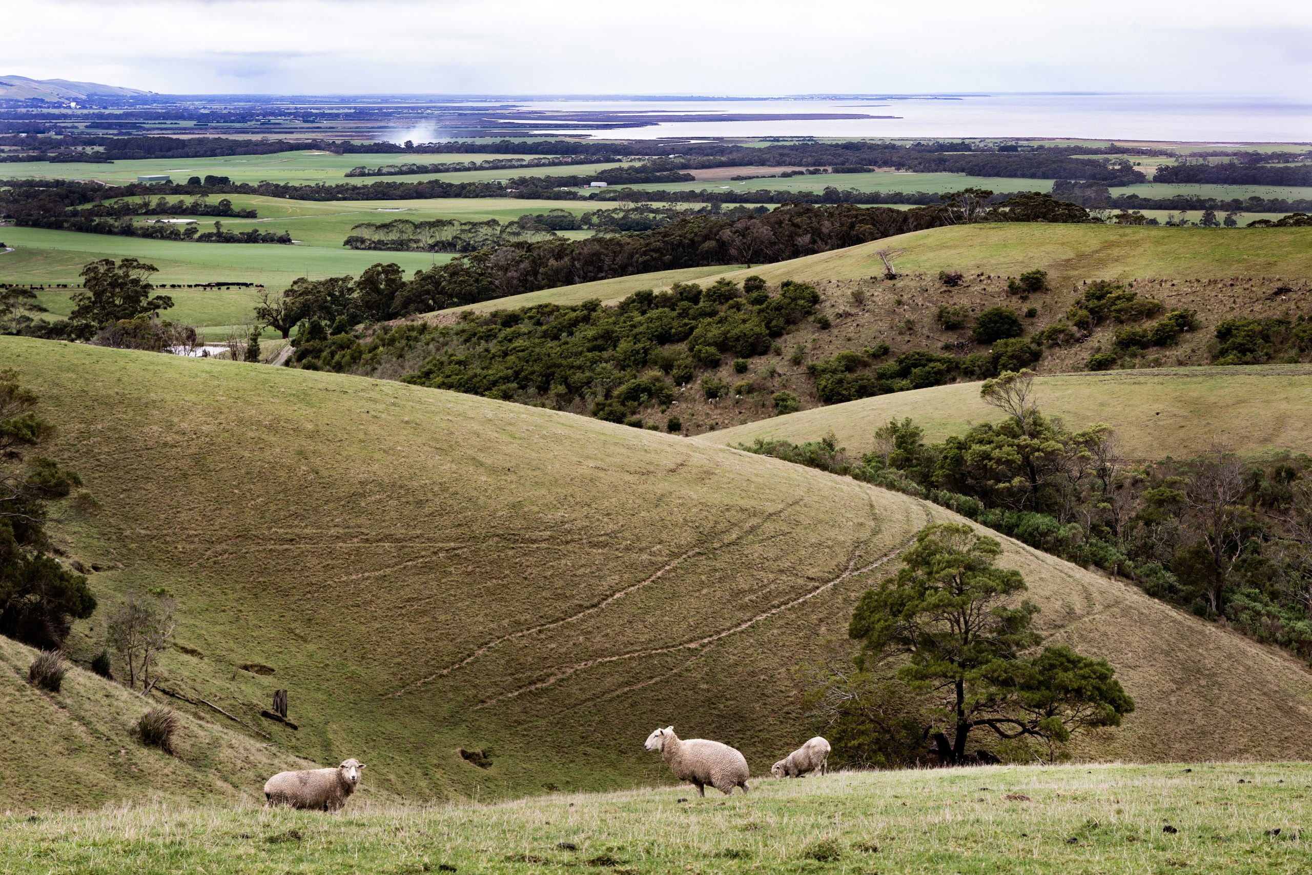 Foster South Gippsland