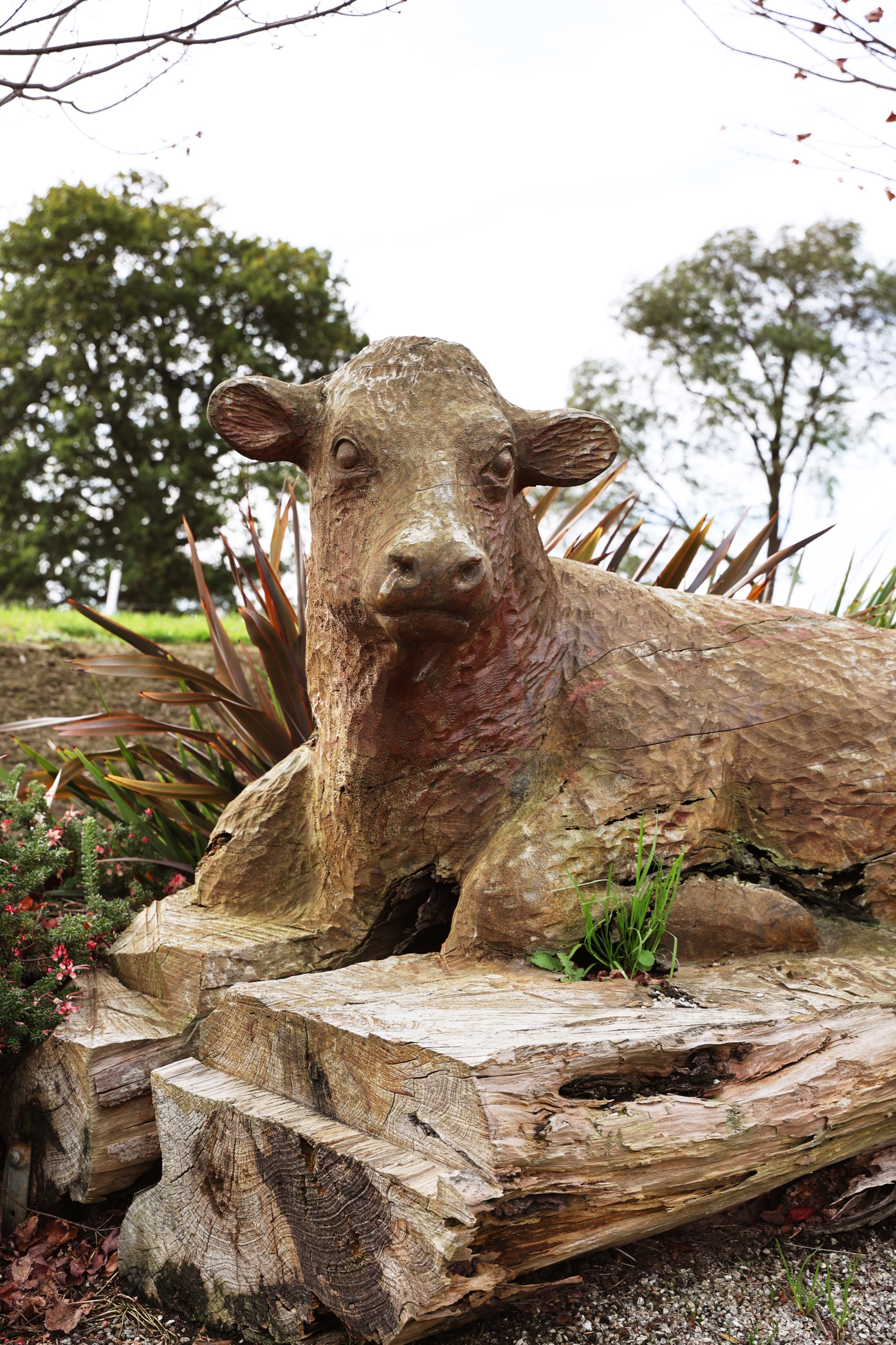 Poowong South Gippsland